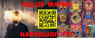 мяу мяу мука Краснознаменск